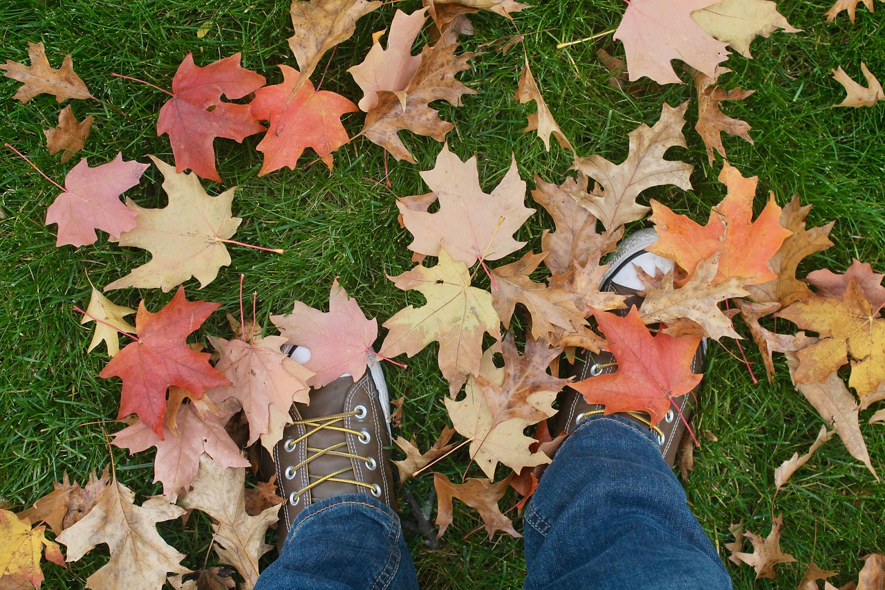 autumn  leaves  shoes free photo