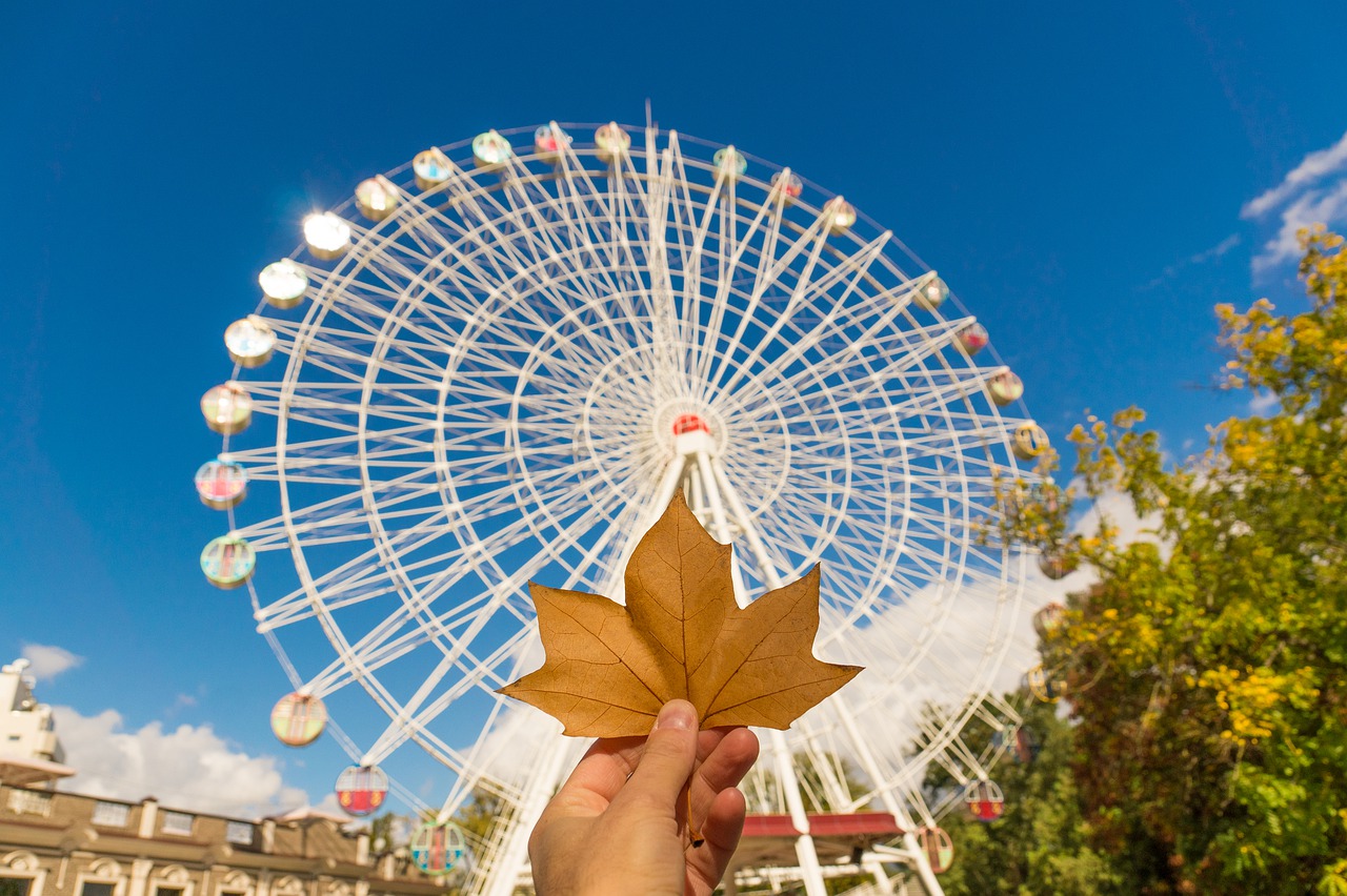 autumn  fall  colorful free photo