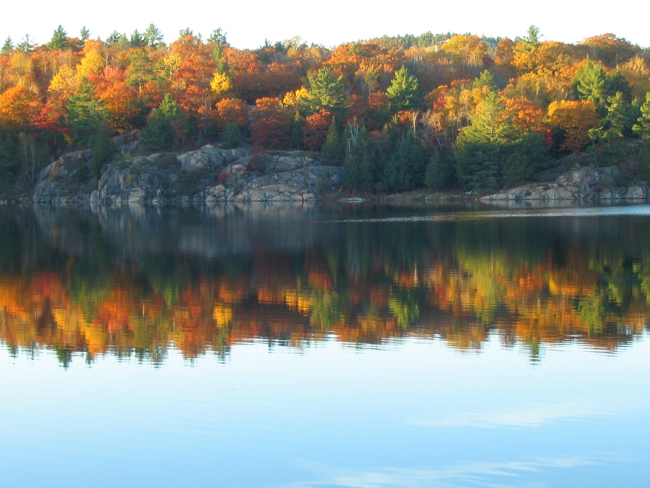 autumn lake reflection free photo