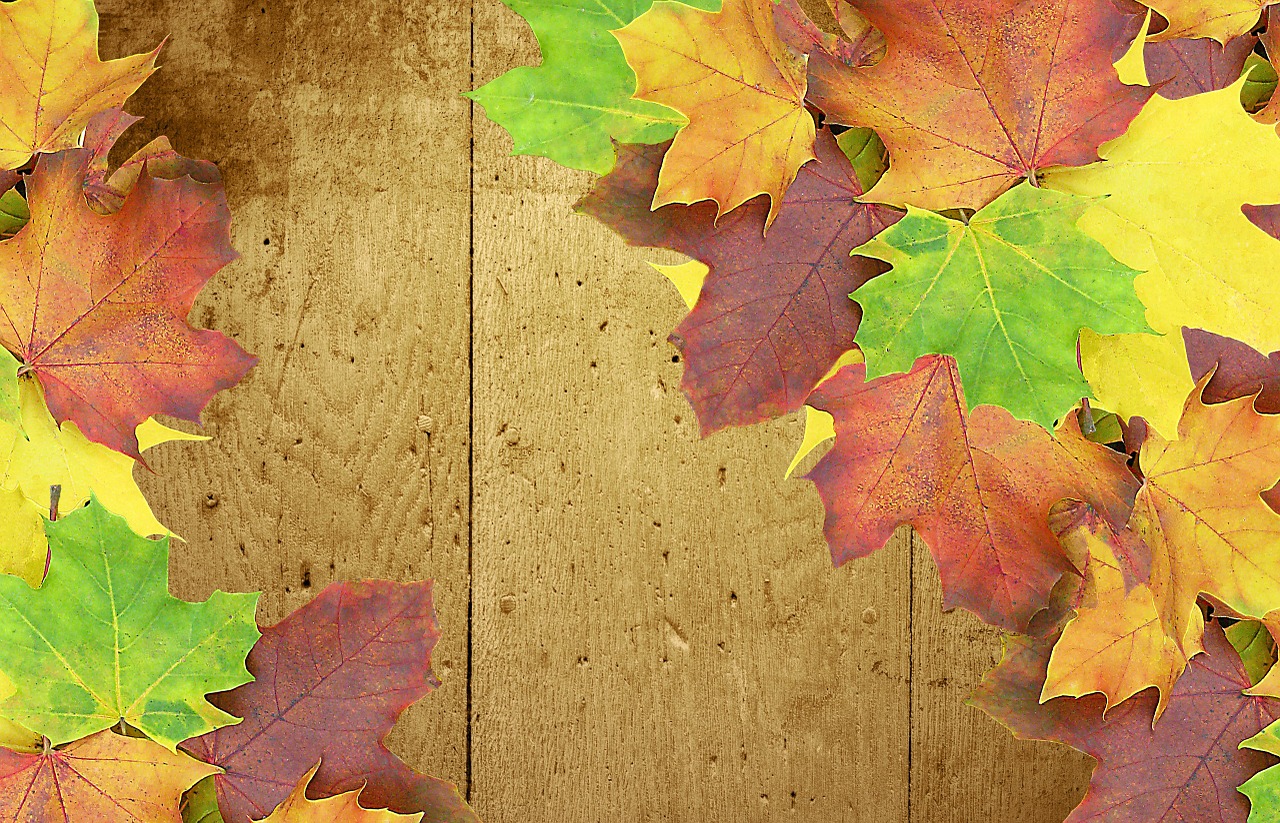 autumn background wood free photo
