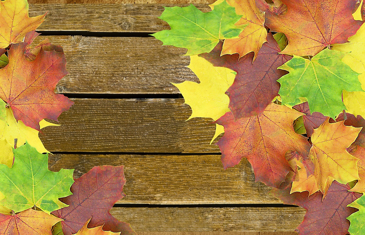 autumn background wood free photo