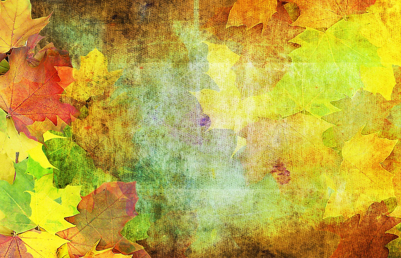 autumn background emerge free photo