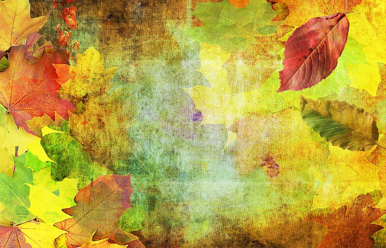 autumn background emerge free photo