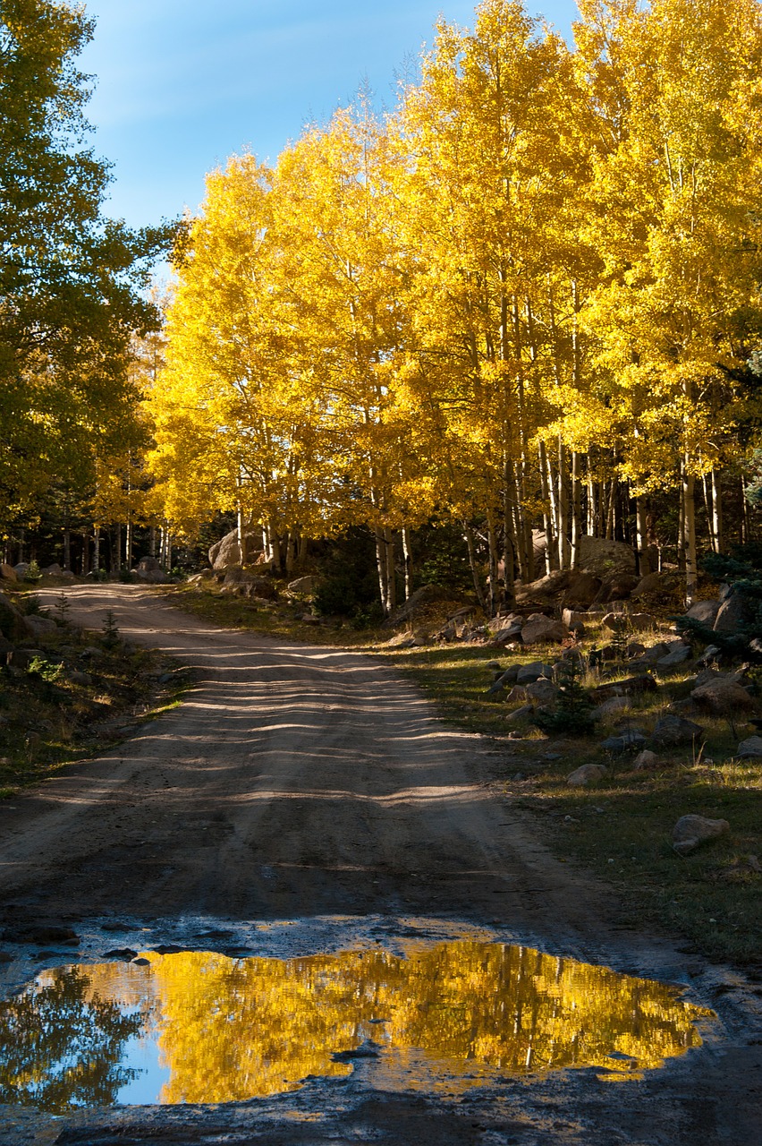 autumn color reflection free photo