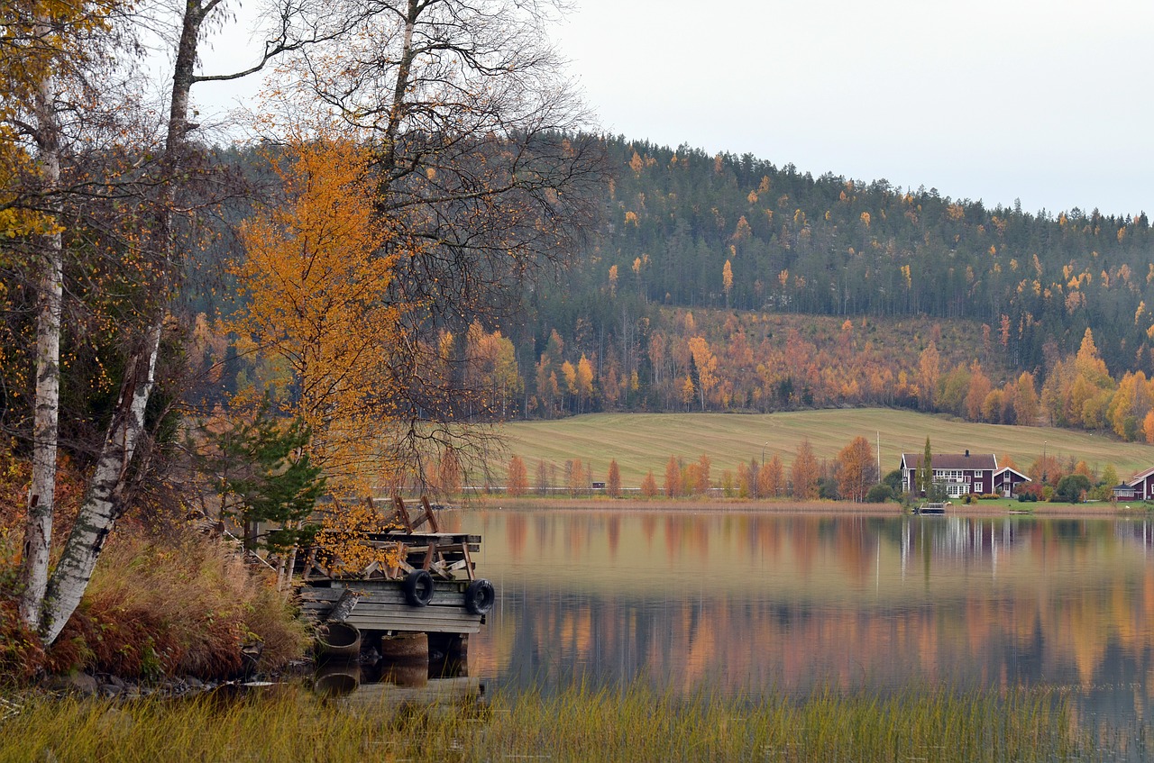 autumn mirroring water free photo