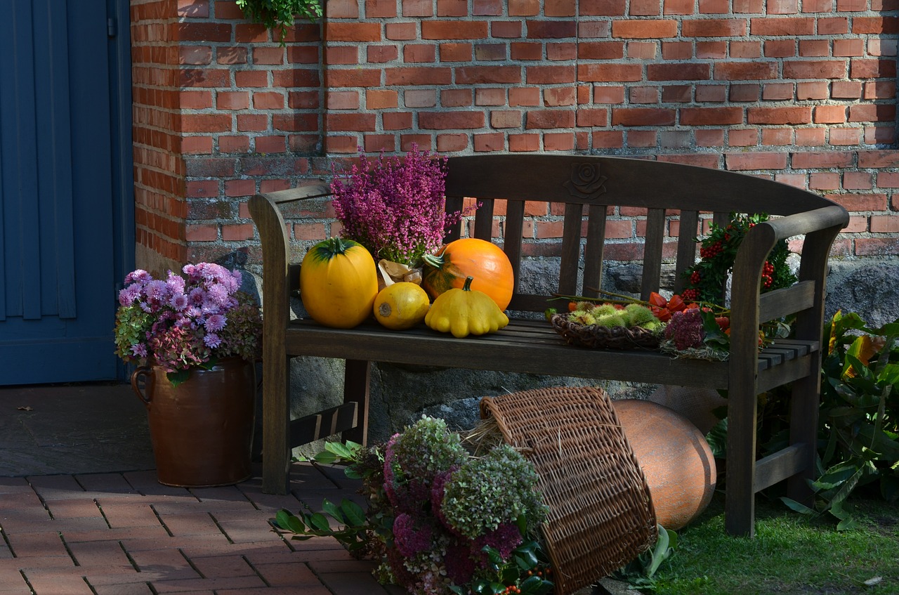 autumn decoration thanksgiving free photo