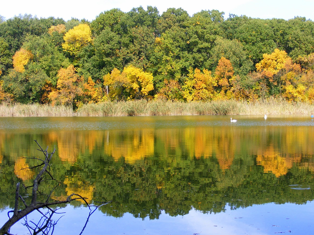 autumn landscape lake free photo