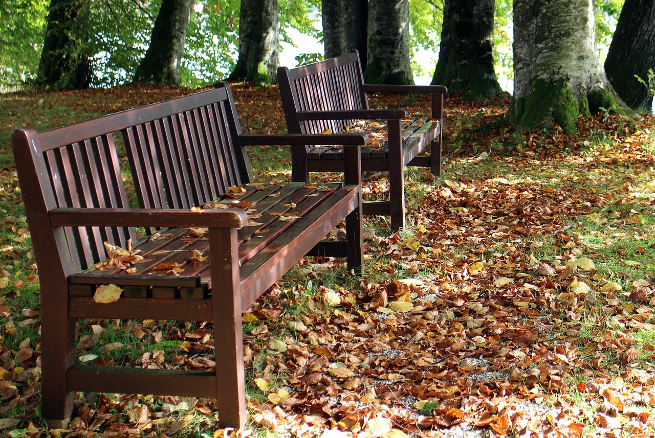 autumn bench seat free photo