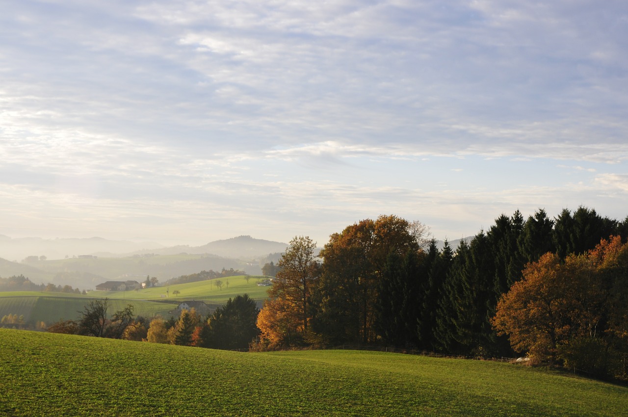 autumn fog meadow free photo