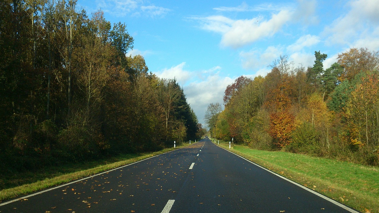 autumn road autumn day free photo