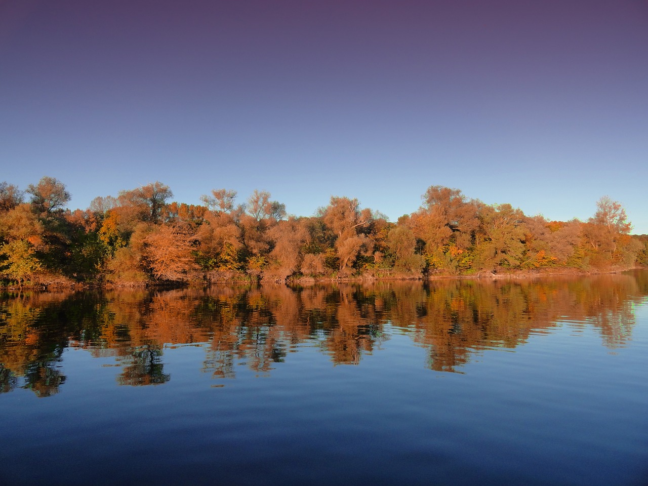 autumn water old rhine free photo