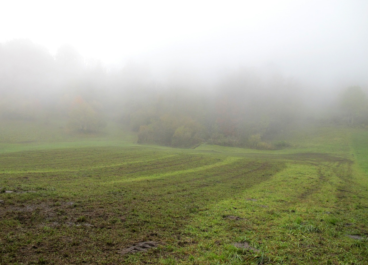 autumn fog arable free photo