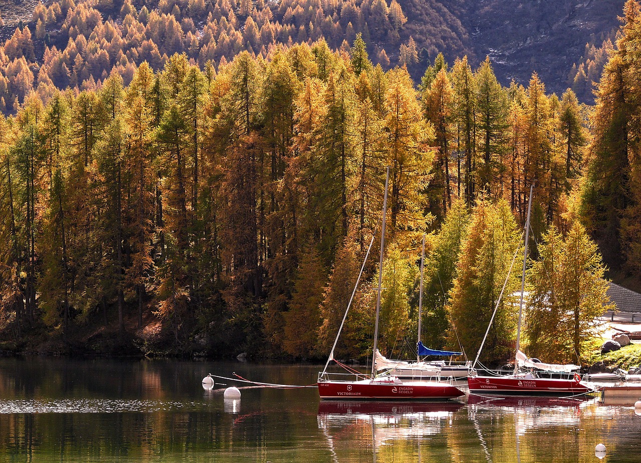 autumn lake boats free photo