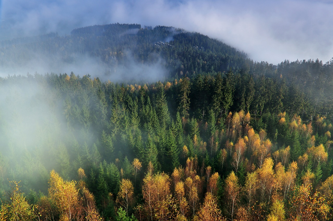 autumn mountains the fog free photo