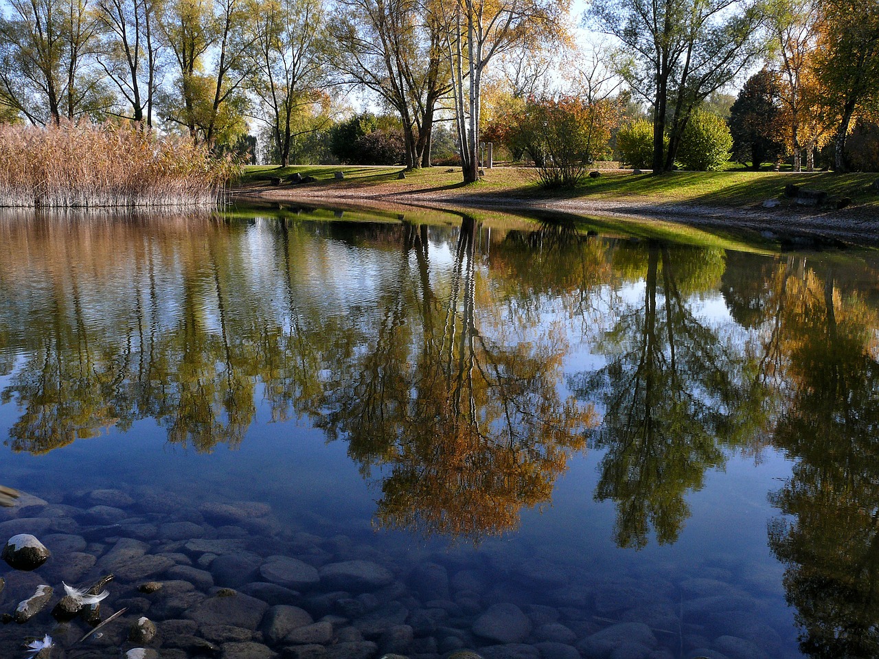 autumn lake trees free photo