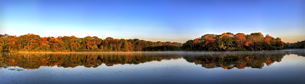 autumn leaves fall free photo