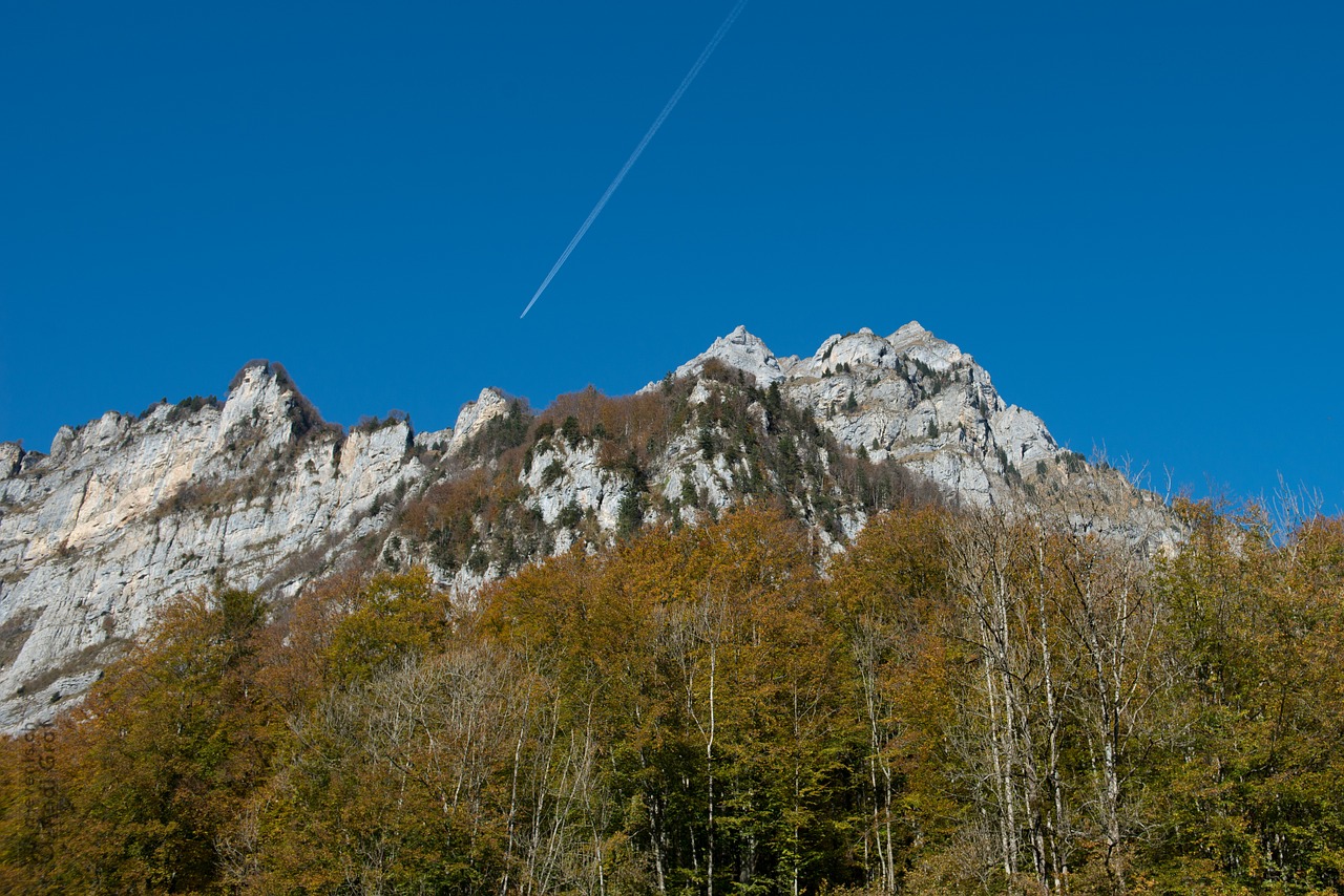 autumn forest away free photo