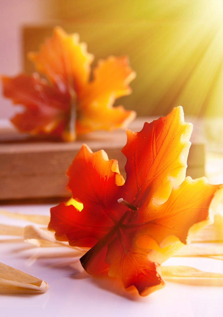 autumn autumn leaf candle free photo