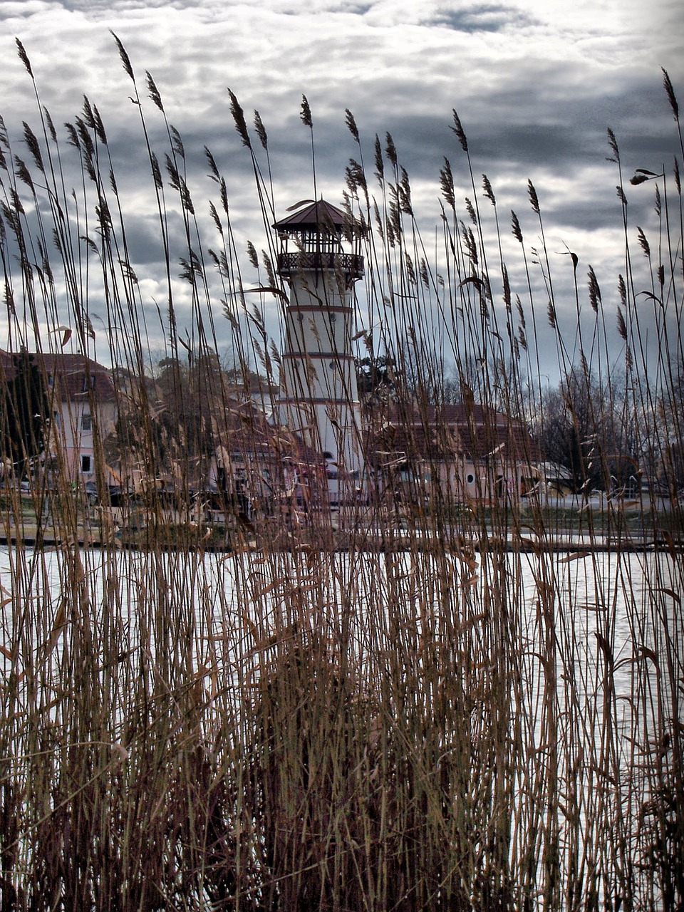 autumn water tower reed free photo