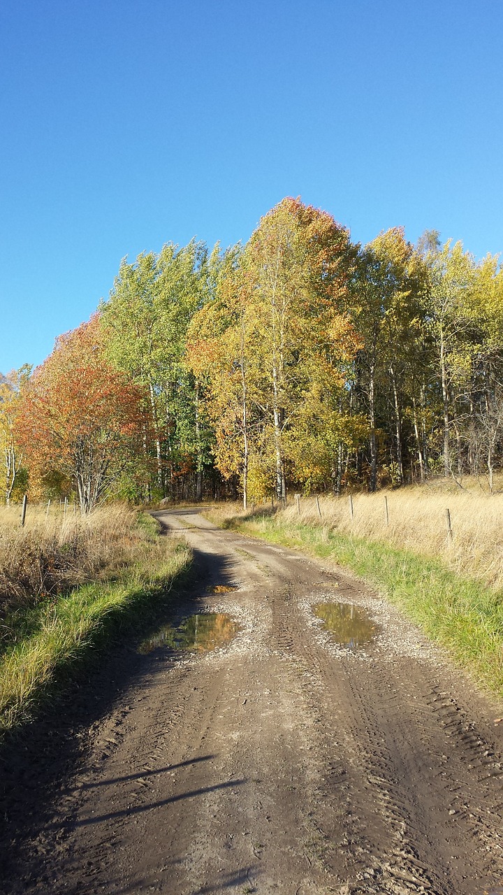 autumn time of year road free photo