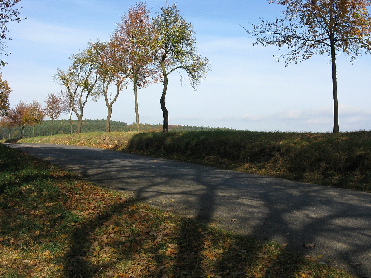 autumn path landscape free photo