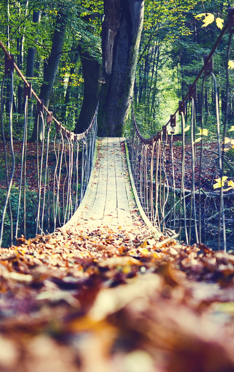 autumn leaves bridge free photo