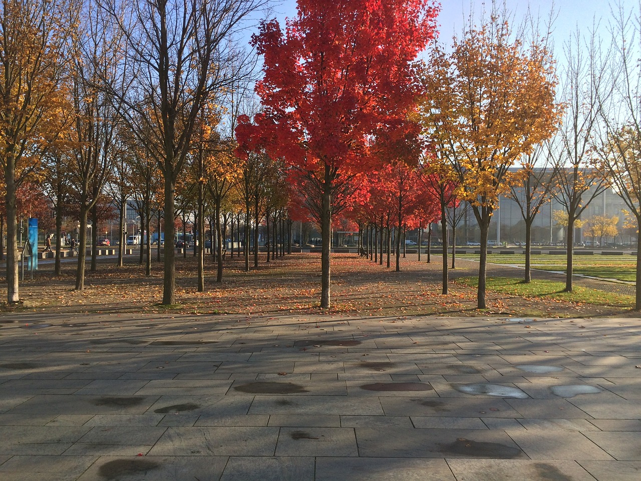 autumn berlin germany free photo