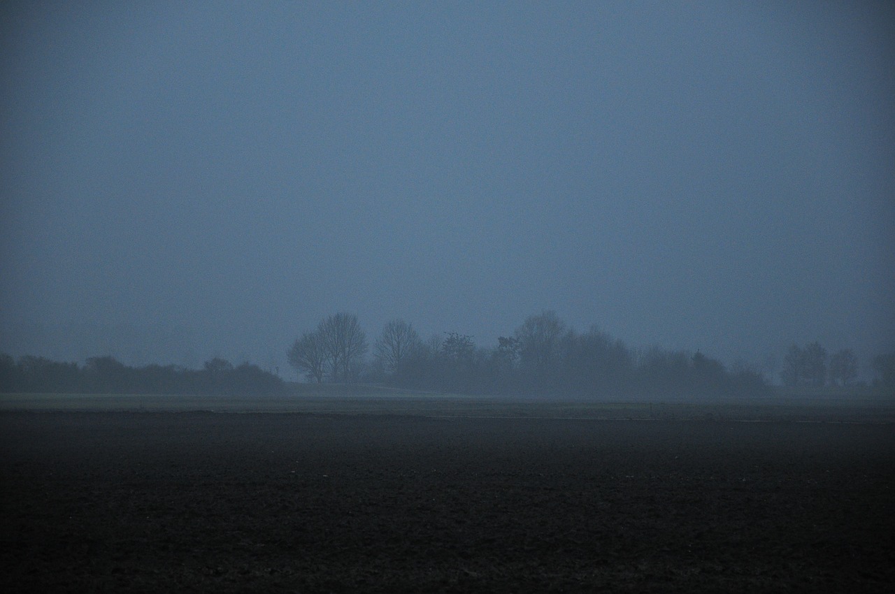 autumn twilight dark free photo