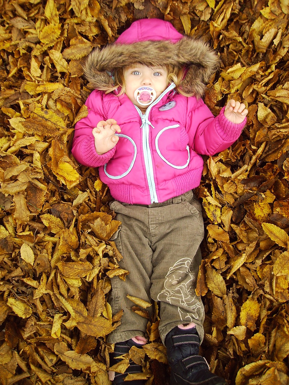 autumn child kid free photo