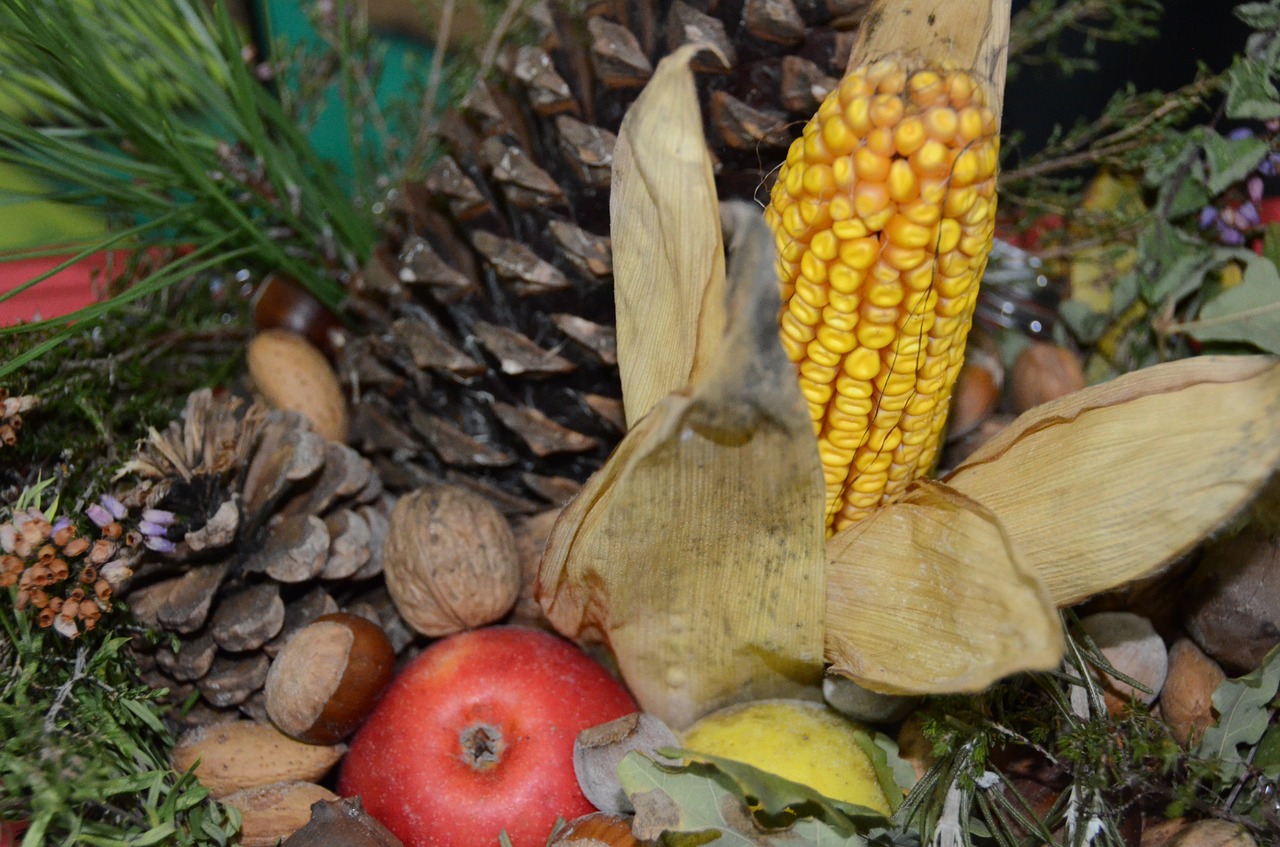 autumn center fruits free photo