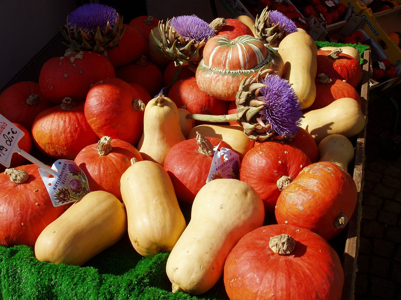 autumn golden autumn pumpkins halloween free photo