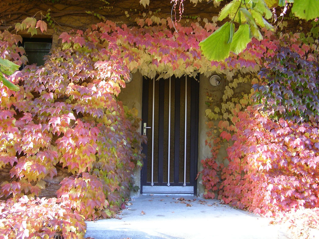 autumn door frame golden autumn free photo