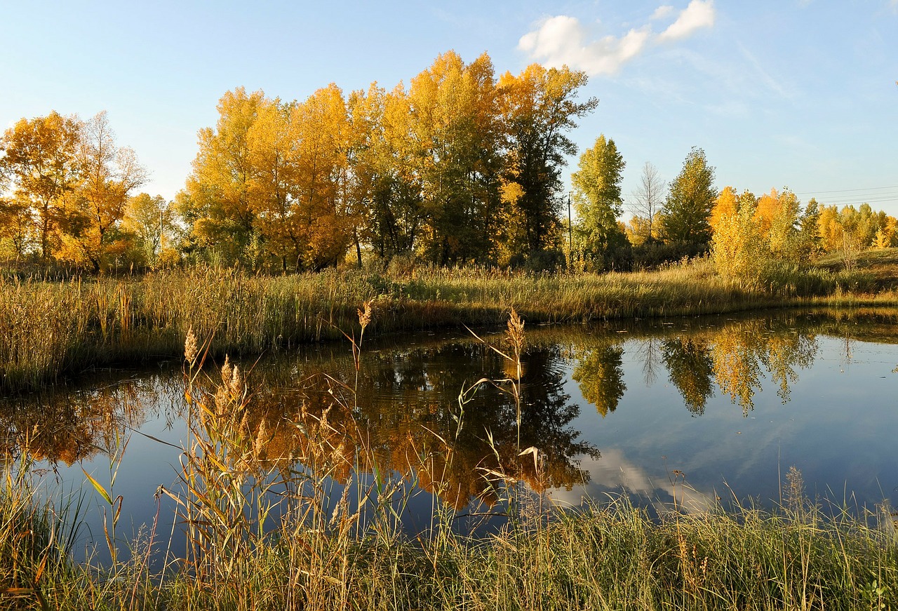 autumn river landscape free photo