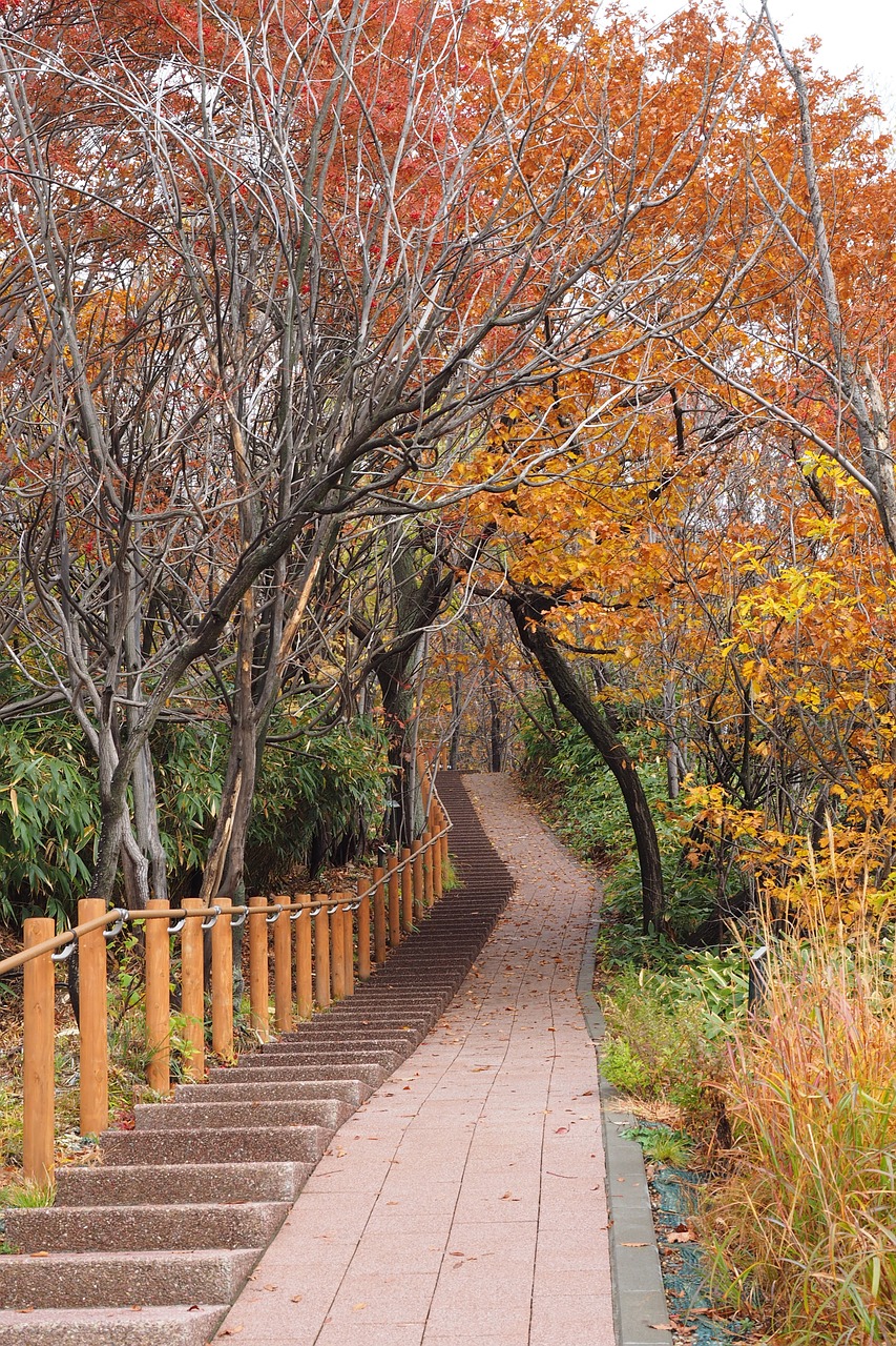 autumn park path free photo