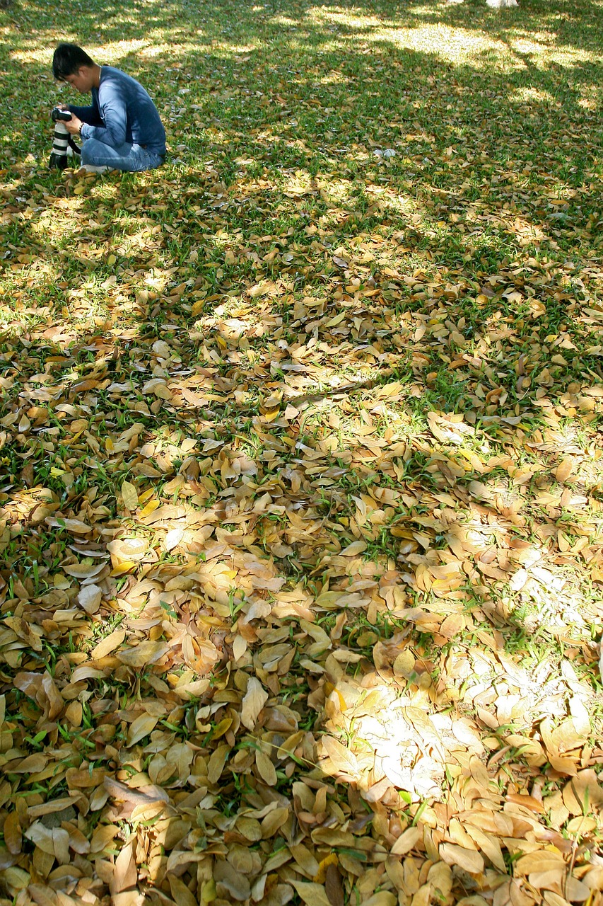 autumn people the park free photo