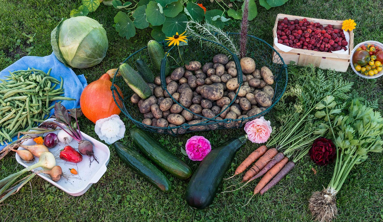 autumn harvest garden free photo