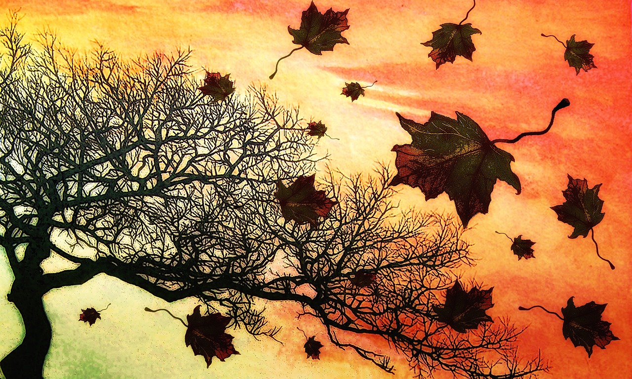 autumn fall nature free photo