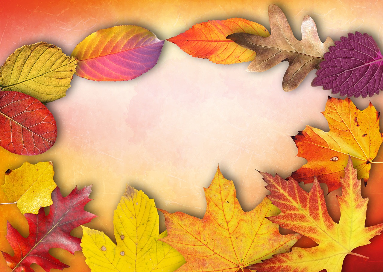 autumn banner poster free photo