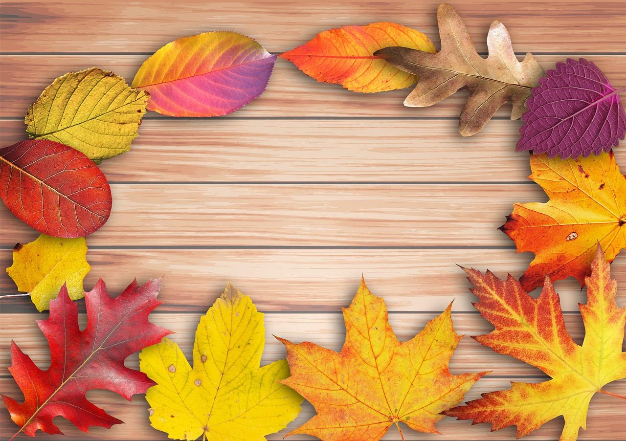 autumn banner poster free photo