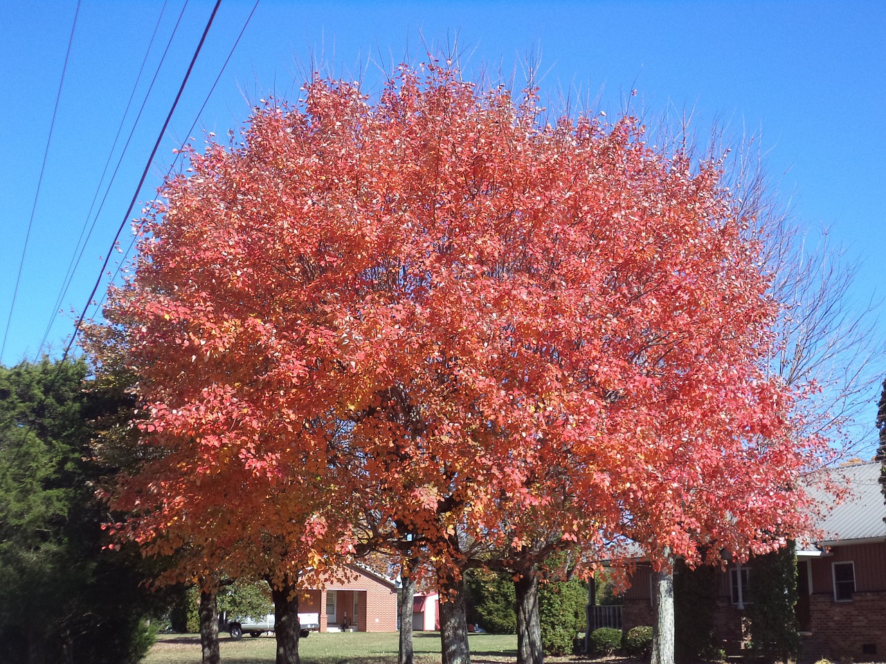 autumn fall colors free photo