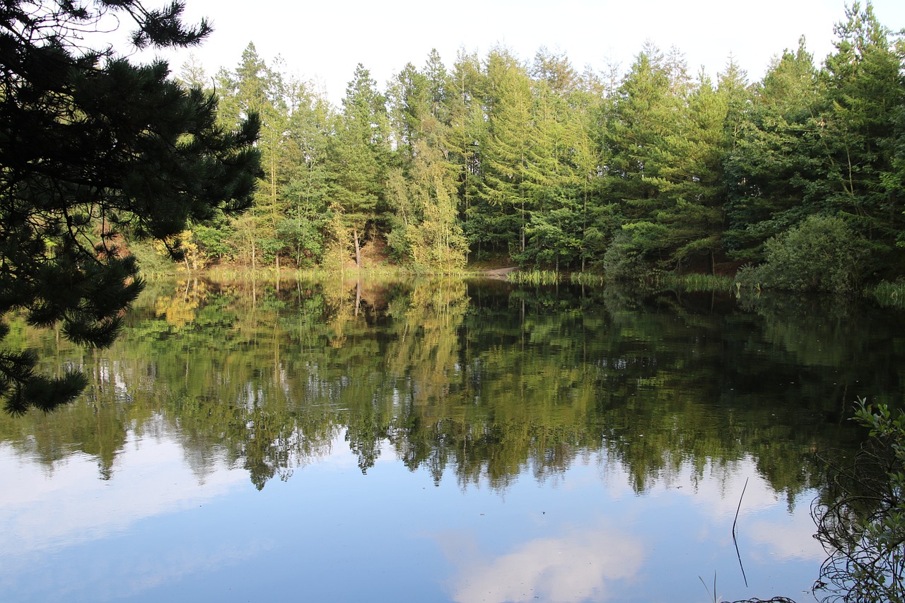 autumn mirror image lake free photo