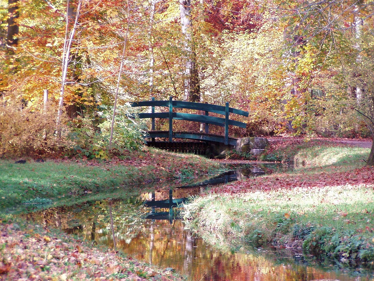 autumn bridge forest free photo