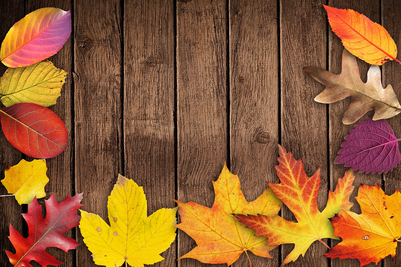 autumn banner poster free photo