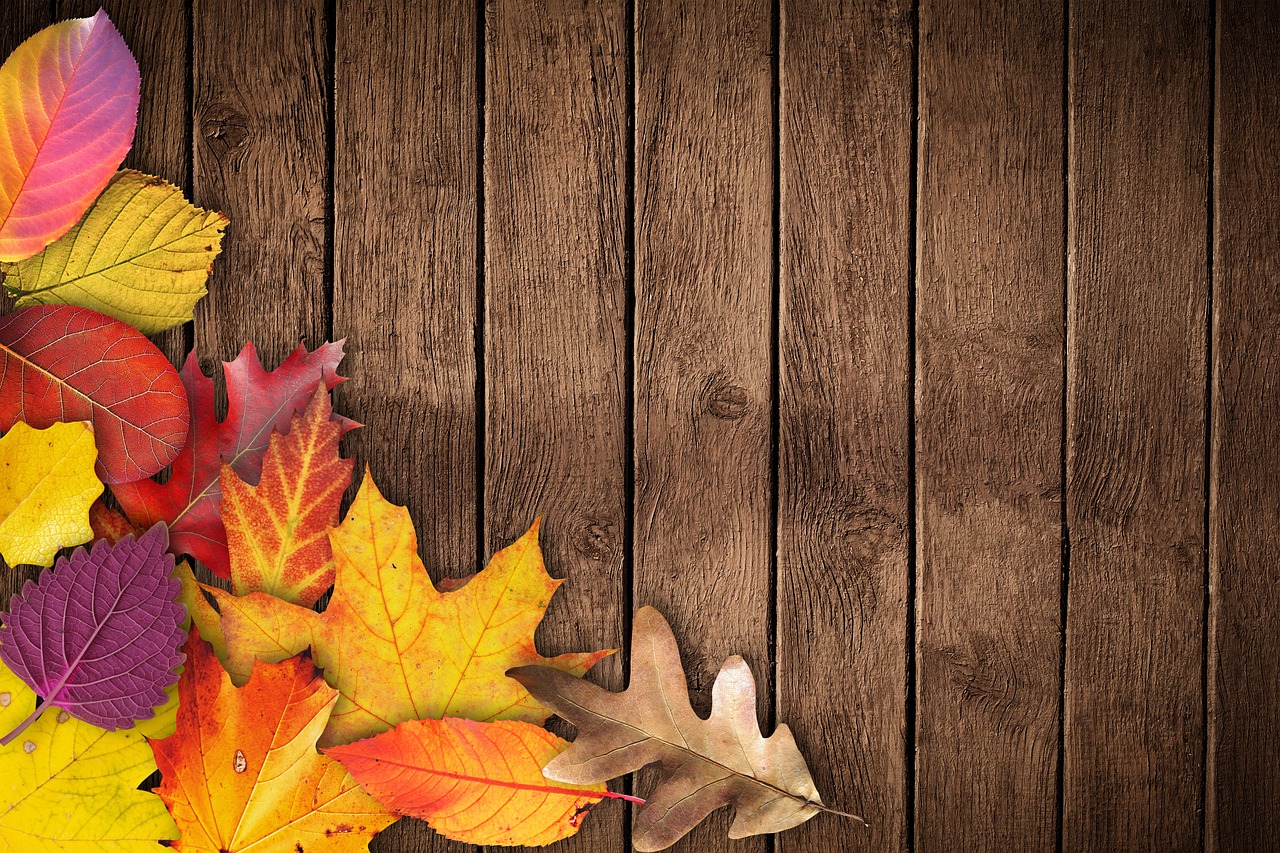 autumn banner poster free photo