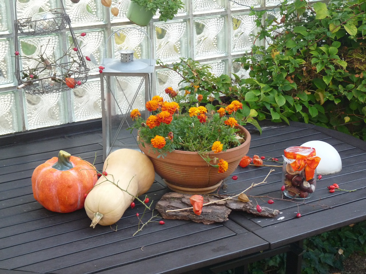 autumn kuerbis harvest free photo
