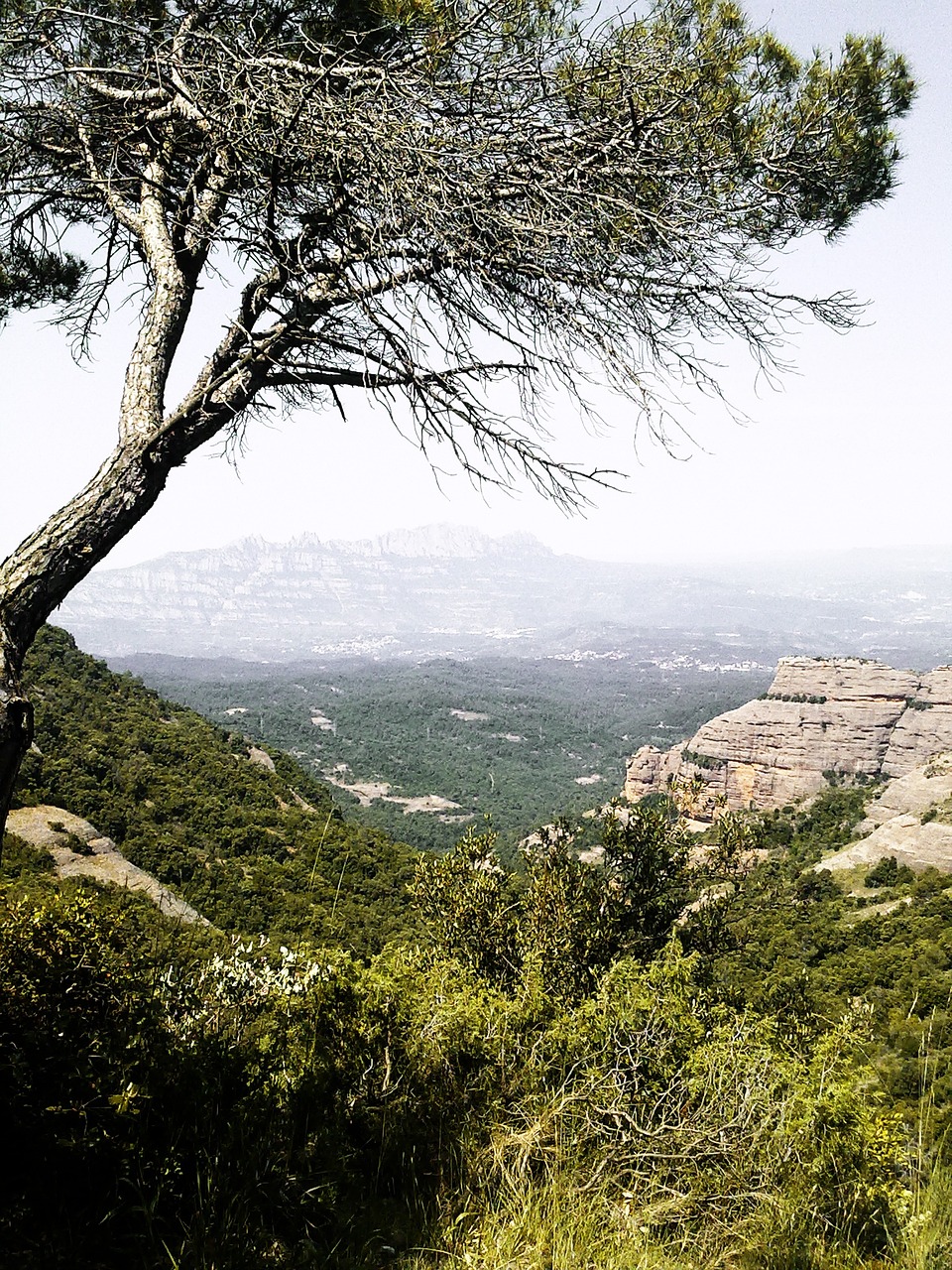 autumn catalonia catalunya free photo