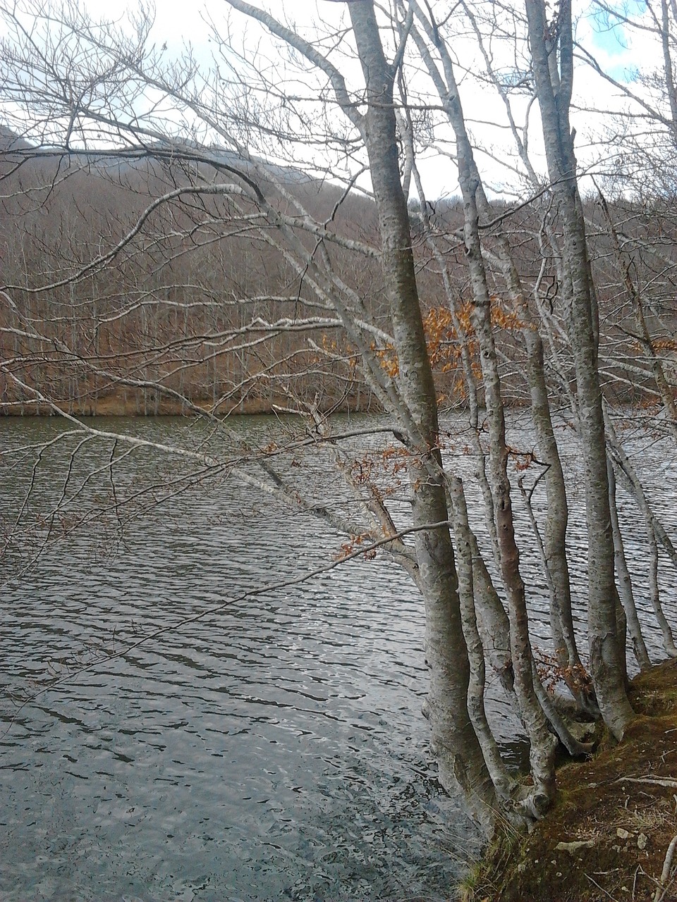 autumn catalonia catalunya free photo