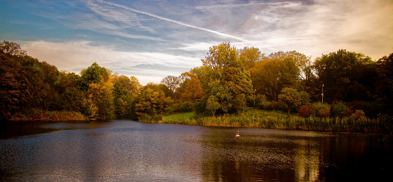 autumn autumn landscape lake free photo