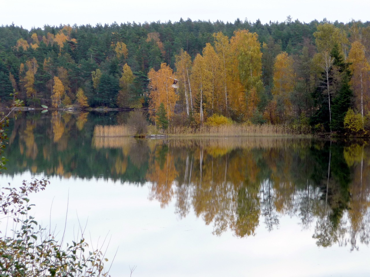 autumn water nature free photo