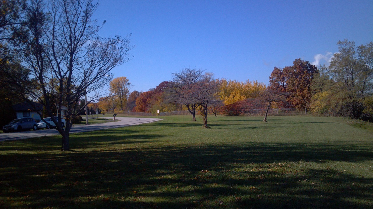 autumn trees fall free photo